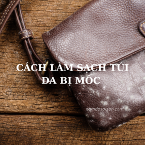 CÁCH LÀM SẠCH TÚI DA BỊ MỐC