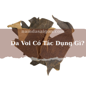 da voi