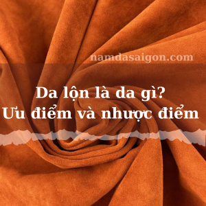 da lộn