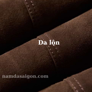 da lộn