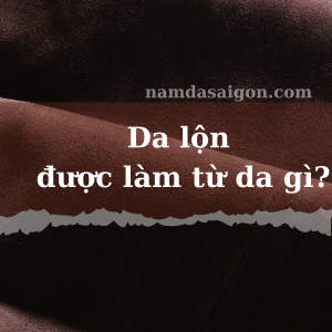 da lộn