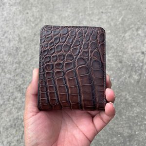 VÍ DA HÀM CÁ ALIGARTO VDHC02