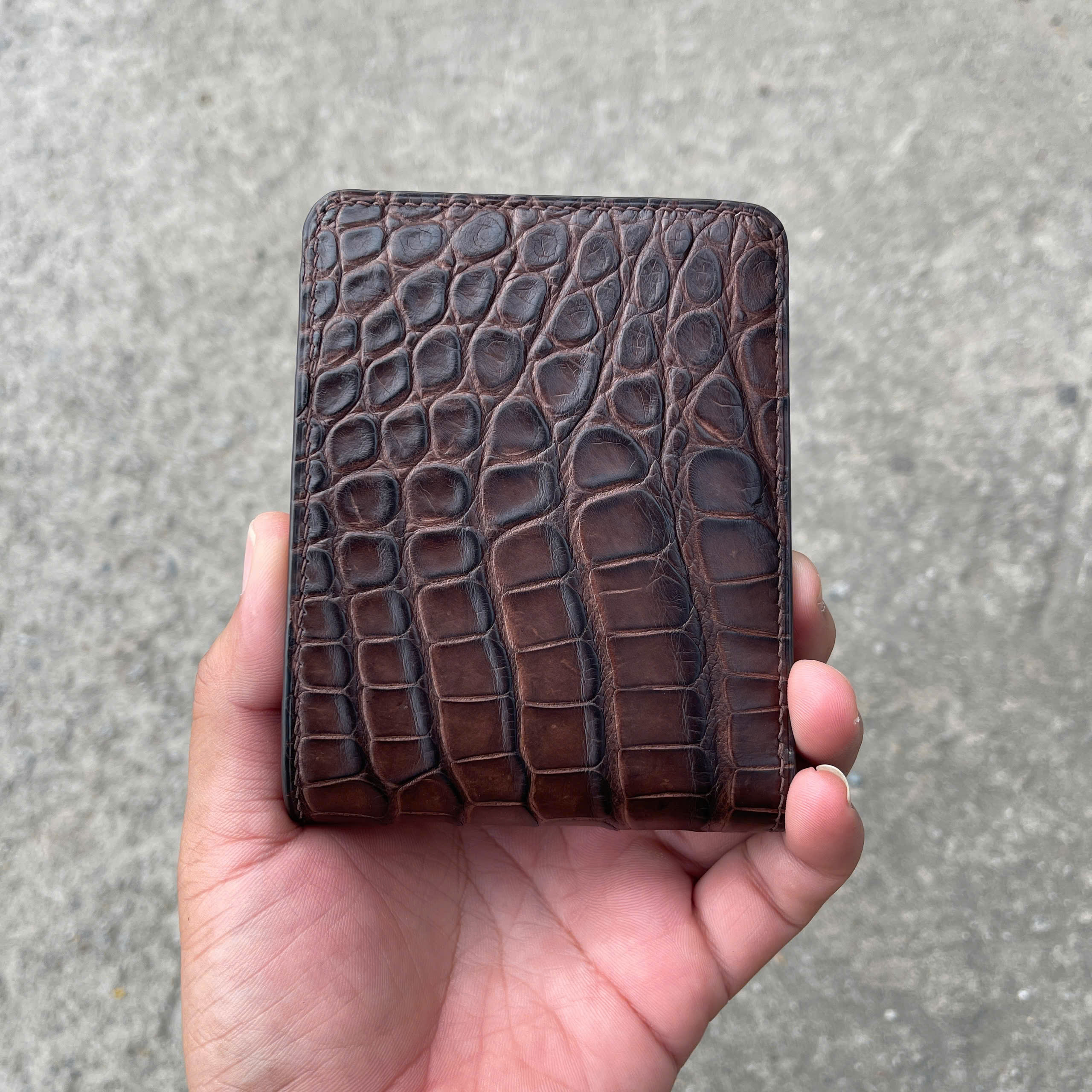 VÍ DA HÀM CÁ ALIGARTO VDHC02