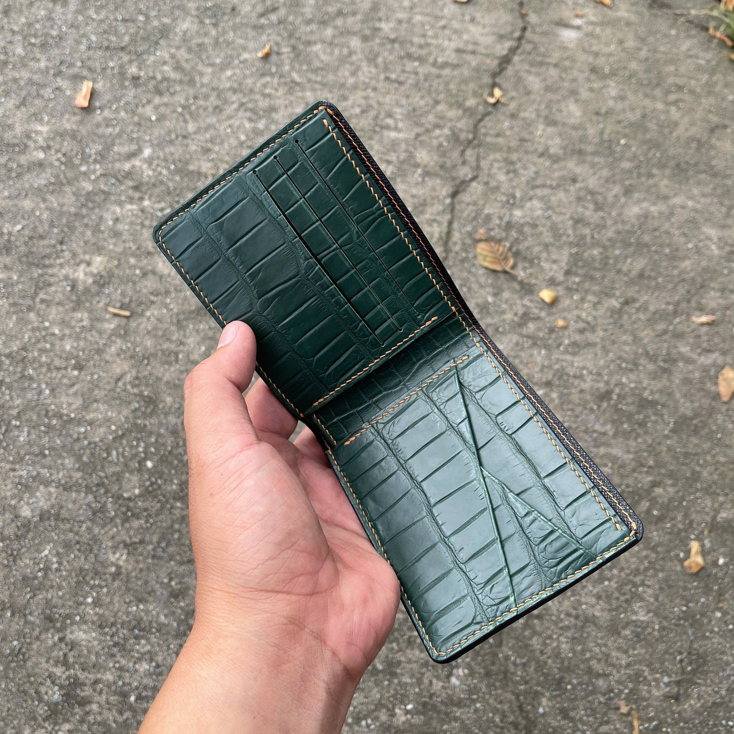 VÍ DA HÀM CÁ ALIGARTO VDHC02