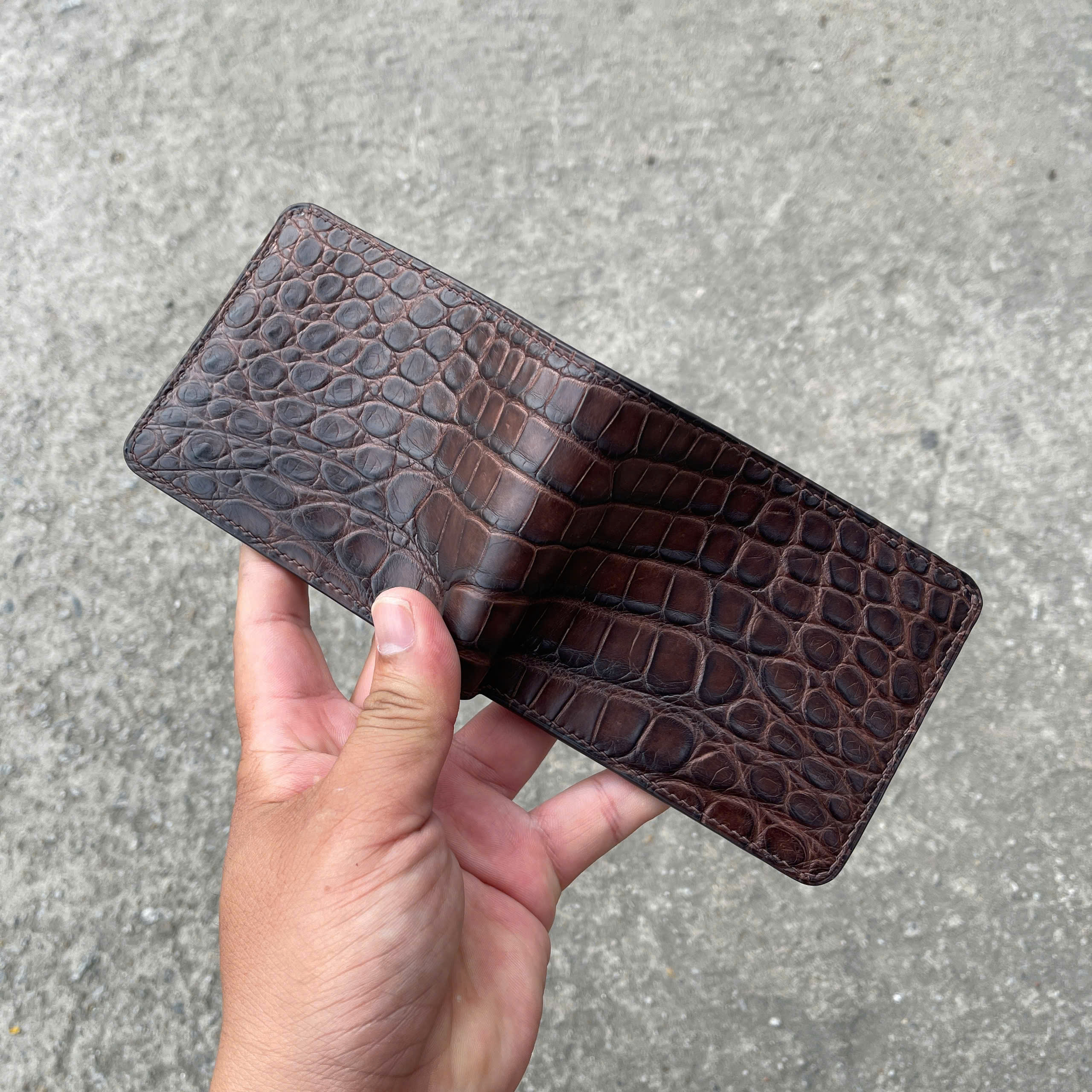 VÍ DA HÀM CÁ ALIGARTO VDHC02