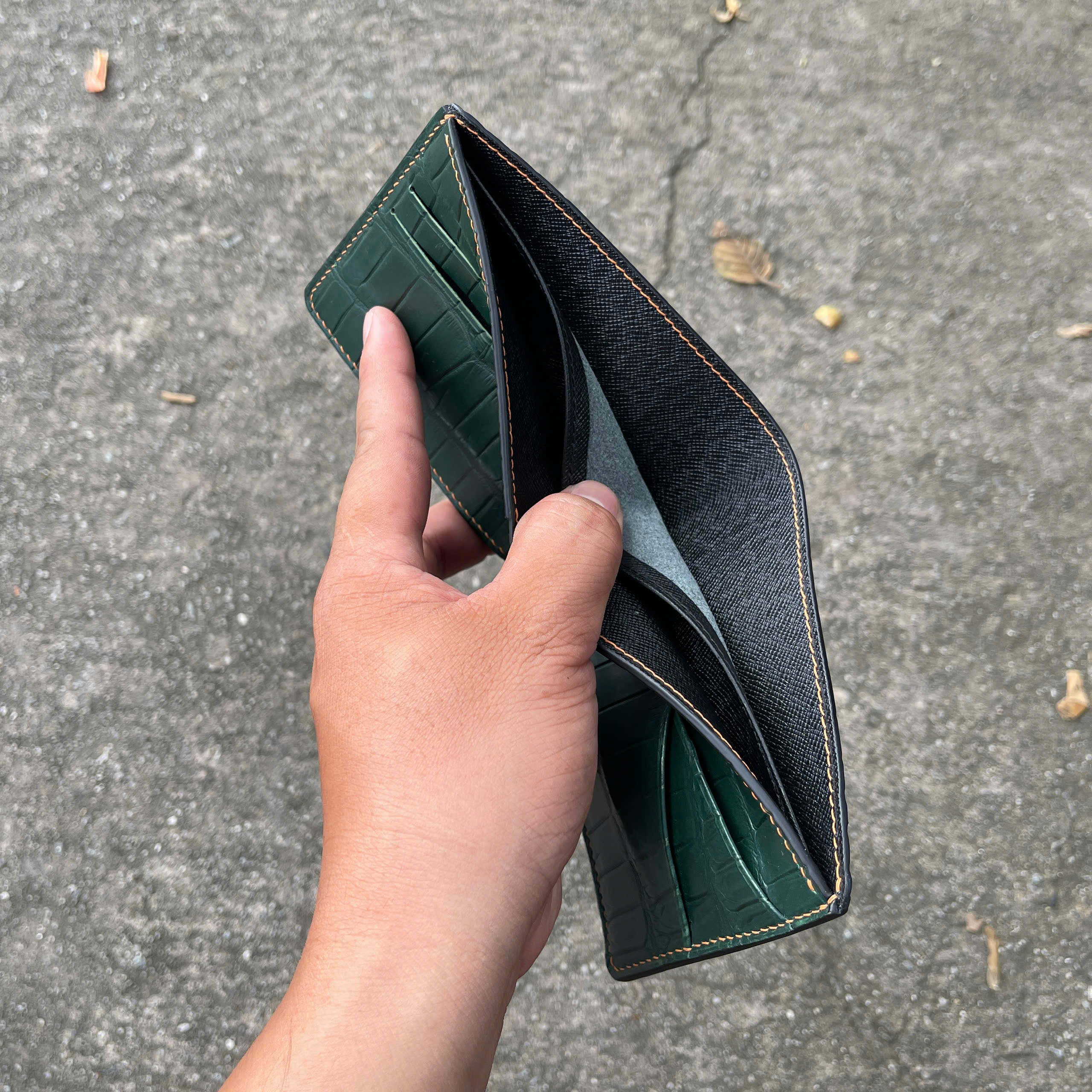 VÍ DA HÀM CÁ ALIGARTO VDHC02