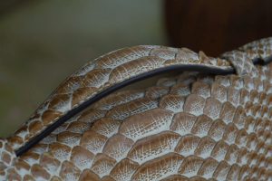 TÚI XÁCH CẦM TAY DA TRĂN VDCT99